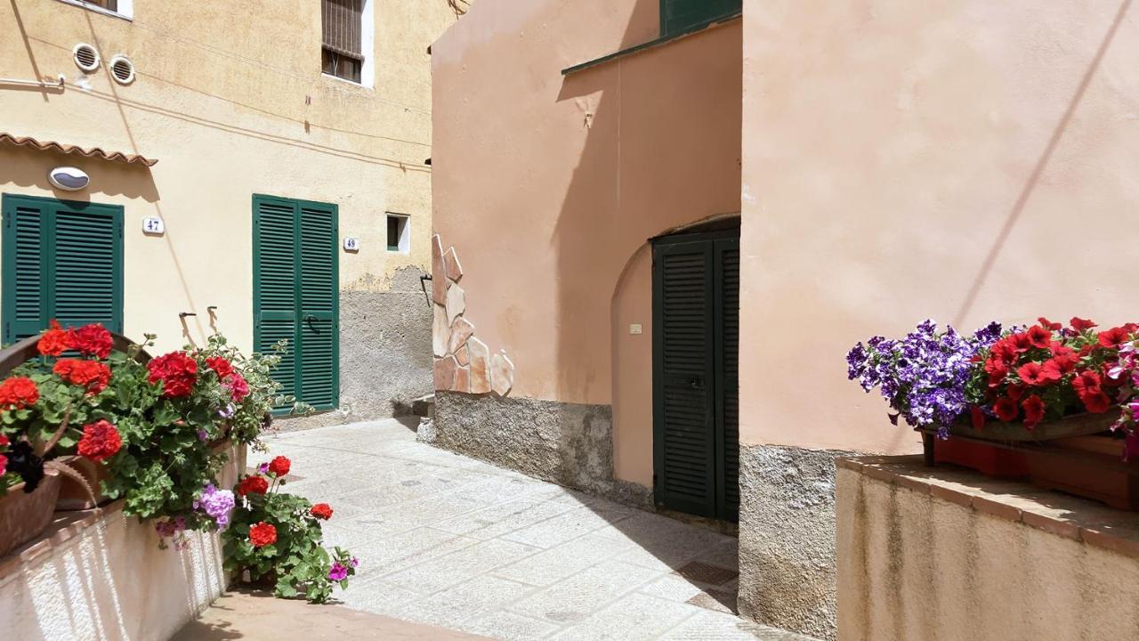 La Casa Di Rosa - Argonautivacanze Rio Marina Eksteriør billede